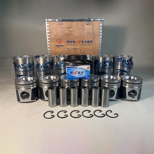 Weichai WD10 Overhaul Kit 612600900072