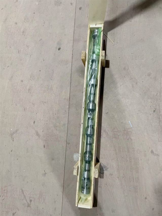 Weichai WP6 Camshaft 13031471