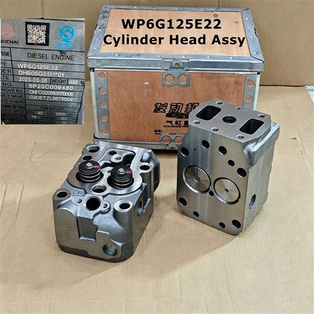 Weichai WP6 Cylinder Head 13028588