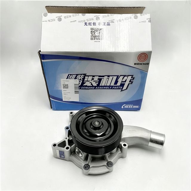 Weichai WP7 Water Pump 610800060207